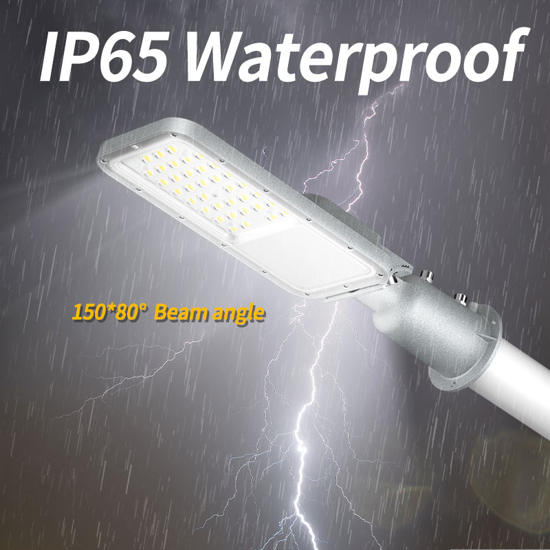 Outdoor Street Light IP65 Outd - Urban Farming Usa avis et prix