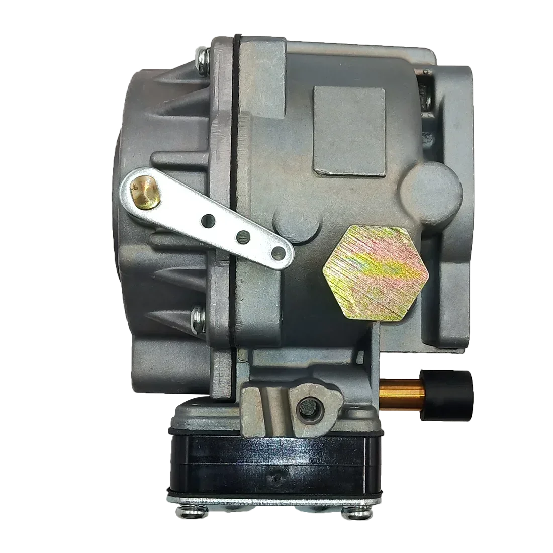 Carburetor Kit for Briggs & St - Urban Farming Kit avis et prix