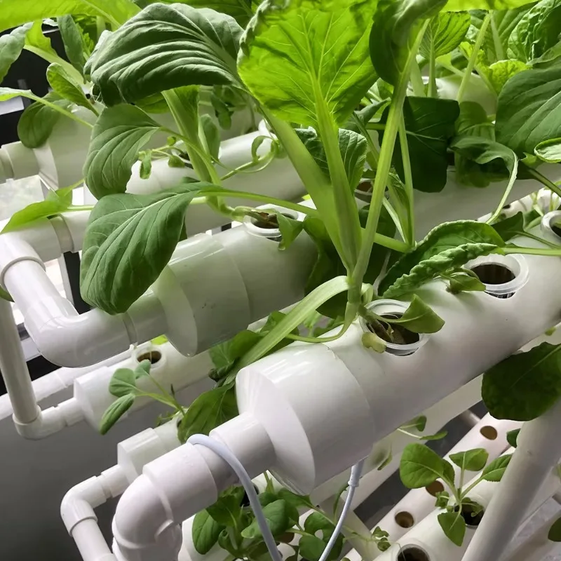 Hydroponic NFT Tube System – V - Urban Farming Usa avis et prix